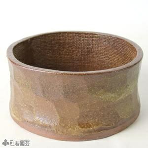 平造19（イラボ釉） | 杜若園芸WEBショップ｜水草の生産販売【通販