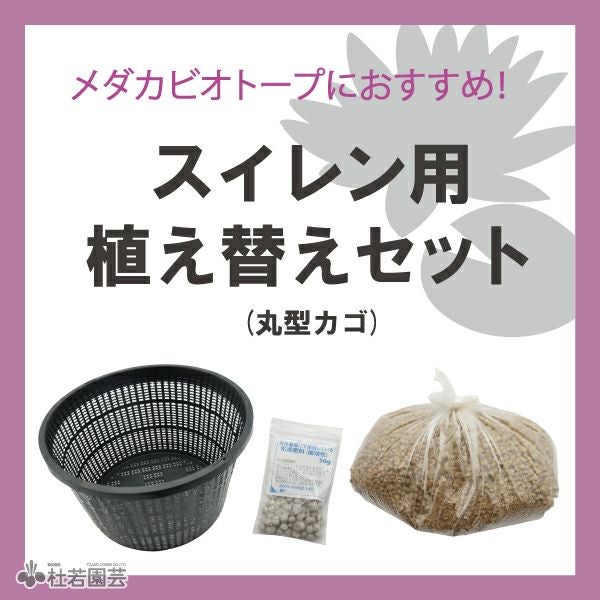 000000002534-01.jpg?size=l&w=
