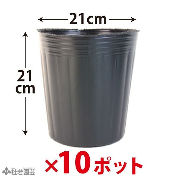 ビニールポット(直径30cm) 5ポットセット | 杜若園芸WEBショップ｜水草