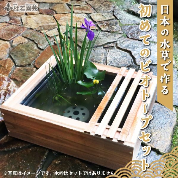 000000002578-01.jpg?size=m&w=