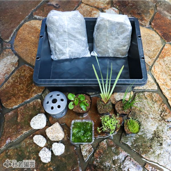 初めてのビオトープセット | 杜若園芸WEBショップ｜水草の生産販売