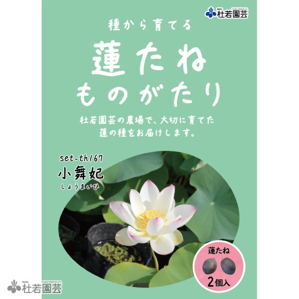 5袋までメール便対応】蓮たねものがたり-小舞妃(しょうまいひ)【小型種