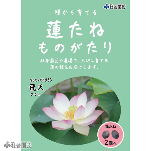 飛天（ひてん）