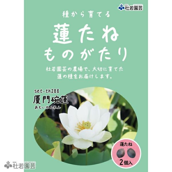5袋までメール便対応】蓮たねものがたり-厦門碗蓮 【小型種】 | 杜若