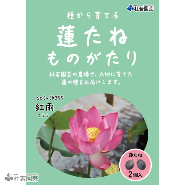 5袋までメール便対応】蓮たねものがたり-蝶戀花(ちょうれんか)【中