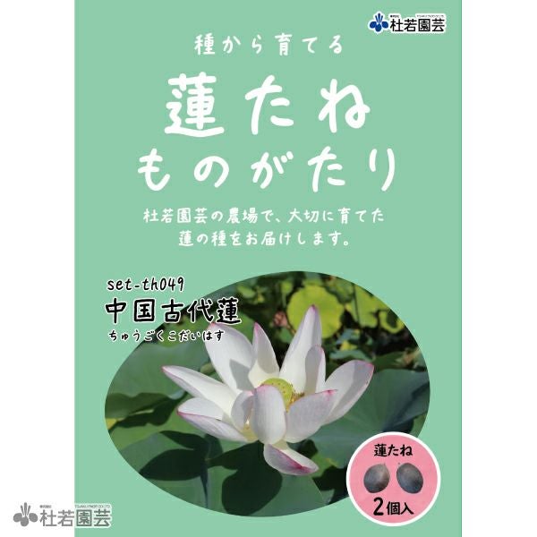 5袋までメール便対応】蓮たねものがたり-中国古代蓮(ちゅうごくこだい