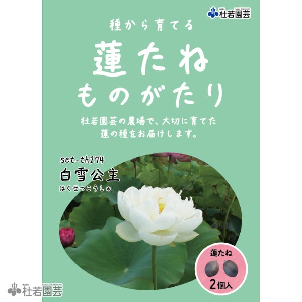 5袋までメール便対応】蓮たねものがたり-金輪蓮（きんりんれん）【大型