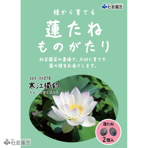 蓮（ハス）の種子の通販（販売） | 杜若園芸WEBショップ｜水草の生産