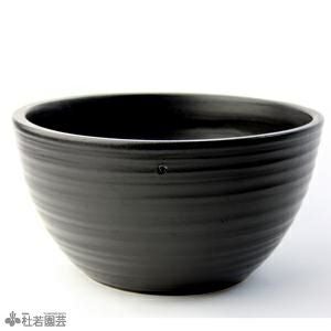 000000002626-01.jpg?size=l&w=
