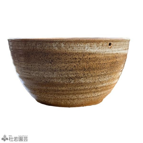 メダカビオトープ鉢（S） | 杜若園芸WEBショップ｜水草の生産販売