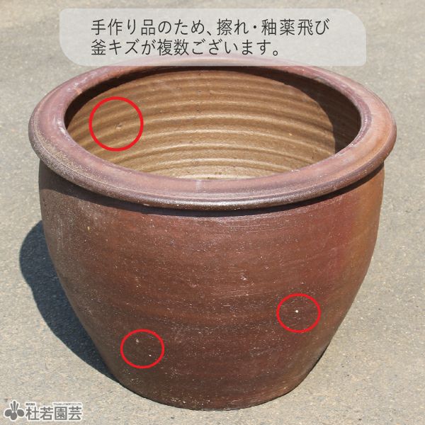 中国清時代　釣窯大鉢　木箱付　口径約24㎝　東Y8-0311☆2Fトヒトヒ ウィッチフォード924アダムシリーズ｜バラと庭あそび京阪園芸公式ショップ
