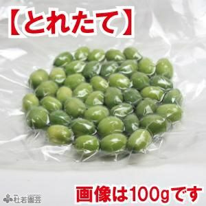 とれたて・新物】 生の蓮の実 皮付（100g）【蓮食・ハスの実・はすの実