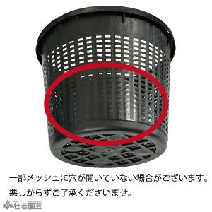 深さ重視 プラ鉢 冬眠用4点セット | 杜若園芸WEBショップ｜水草の生産