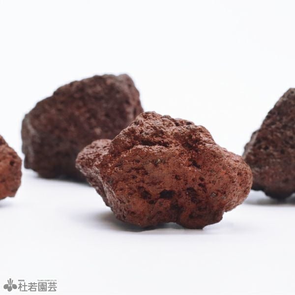 苔テラリウムの飾り石・茶 | 杜若園芸WEBショップ｜水草の生産販売