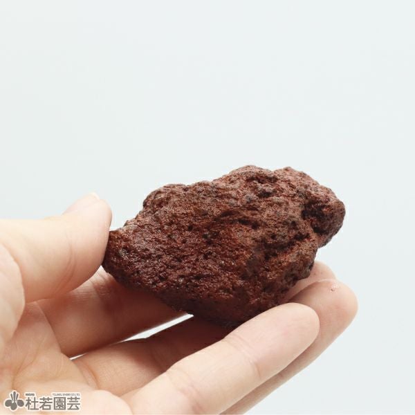 苔テラリウムの飾り石・茶 | 杜若園芸WEBショップ｜水草の生産販売