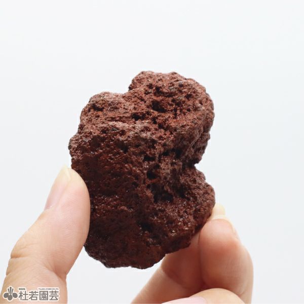 苔テラリウムづくりの流木と溶岩石【小セット】 | 杜若園芸WEBショップ