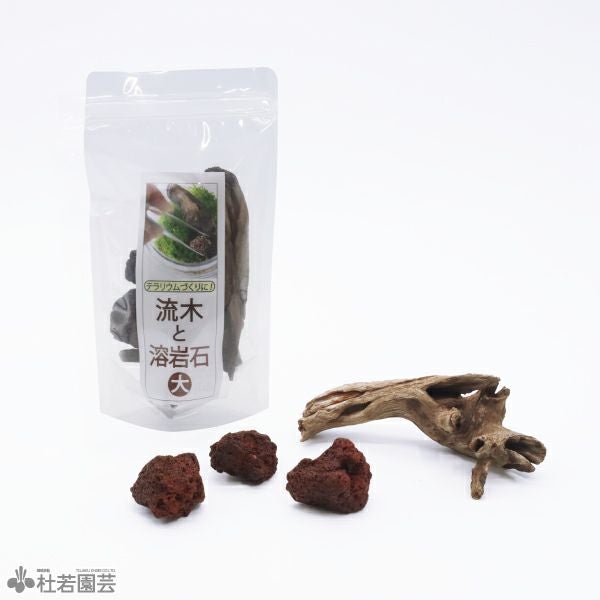 苔テラリウムづくりの流木と溶岩石【大セット】 | 杜若園芸WEBショップ