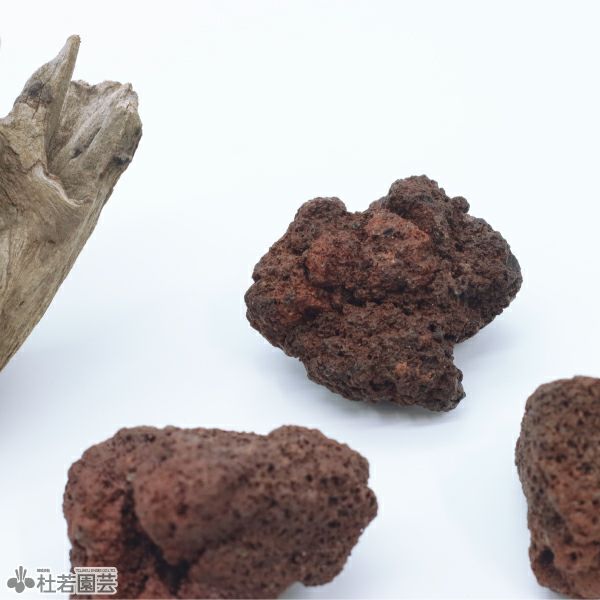 苔テラリウムづくりの流木と溶岩石【大セット】 | 杜若園芸WEBショップ