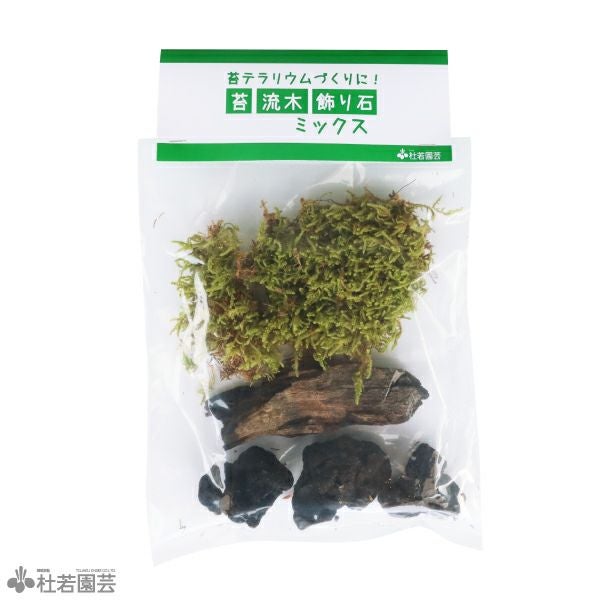 苔テラリウムの苔・流木・飾り石のセット | 杜若園芸WEBショップ｜水草