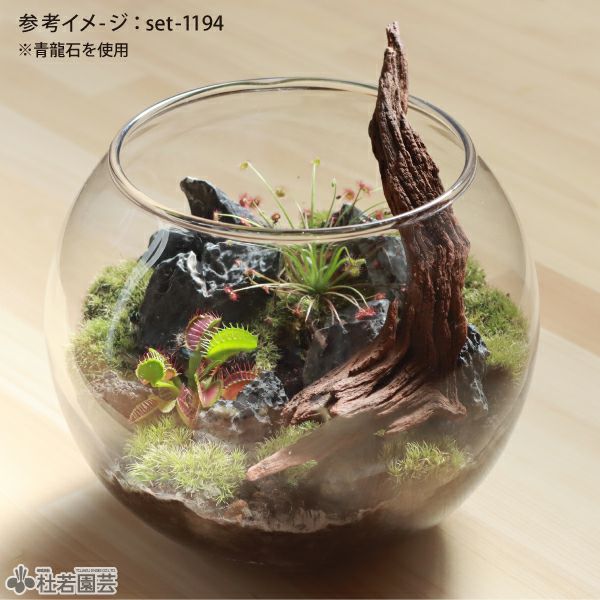 苔テラリウムの苔・流木・飾り石のセット | 杜若園芸WEBショップ｜水草