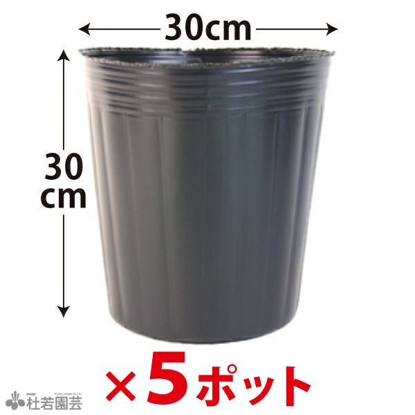 ビニールポット(直径30cm) 5ポットセット | 杜若園芸WEBショップ｜水草