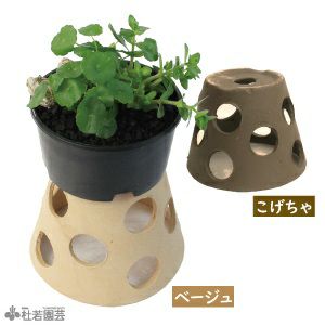 メダカドット隠れ家・冬眠セット | 杜若園芸WEBショップ｜水草の生産