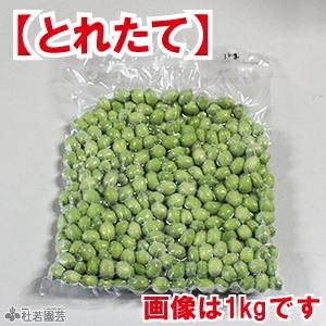 蓮（はす・ハス）食品の通販（販売）【国産 農薬不使用】 | 杜若園芸