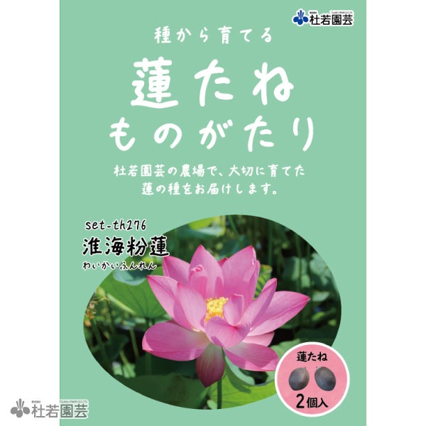 即発送 蓮ページ 5袋までメール便対応】蓮たねものがたり-即非蓮(そくひれん)【小・中型