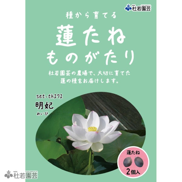 ハスの種 1000粒（200個✖️5袋）　2025年採取 000000002993-01.jpg?size=m&w=