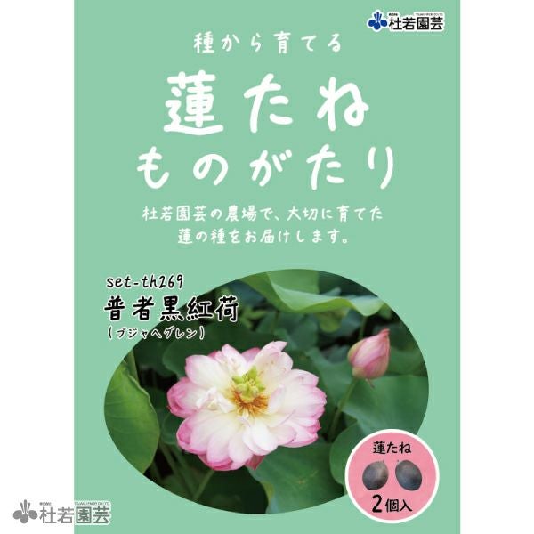 5袋までメール便対応】蓮たねものがたり-即非蓮(そくひれん)【小・中型