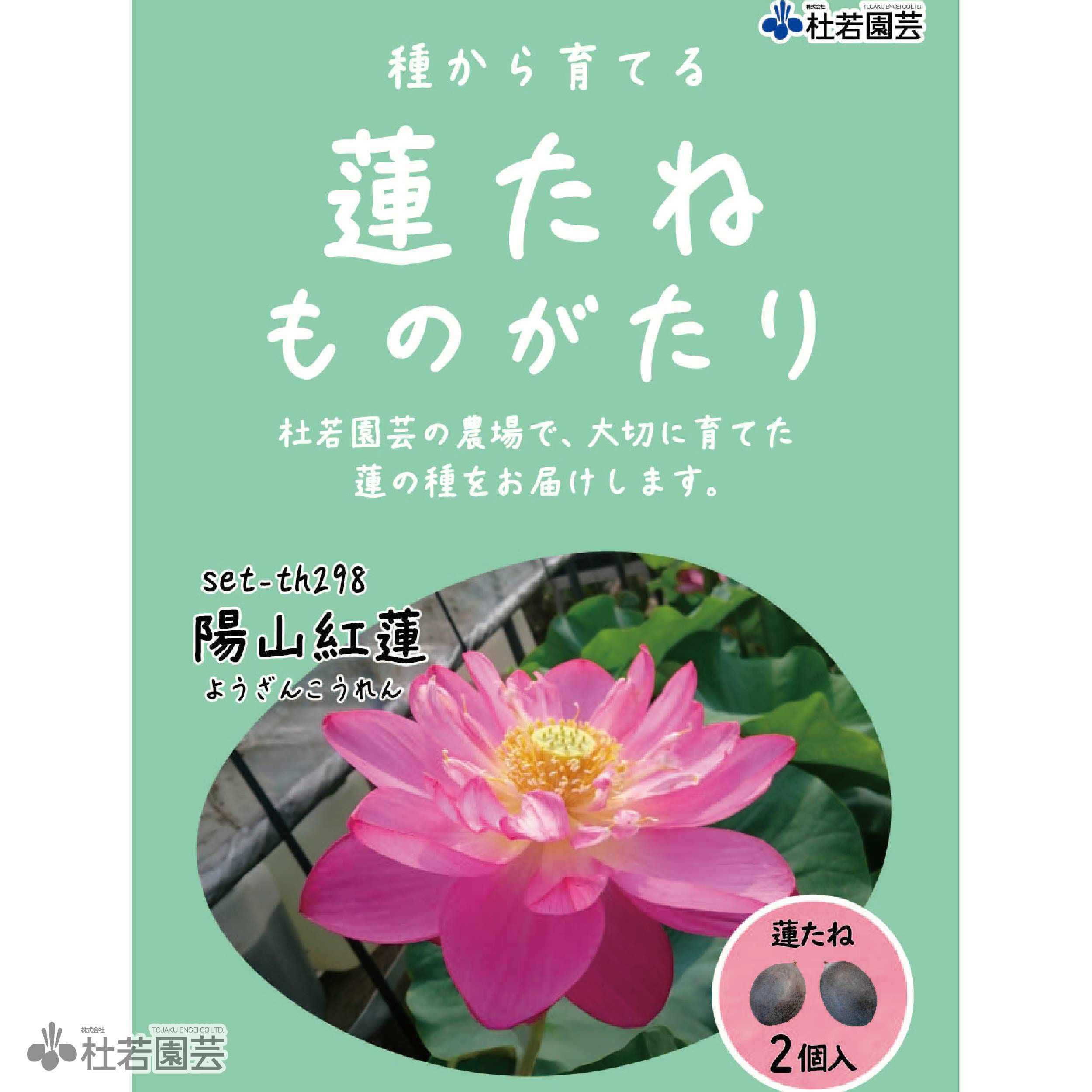 5袋までメール便対応】蓮たねものがたり-陽山紅蓮(ようざんこうれん