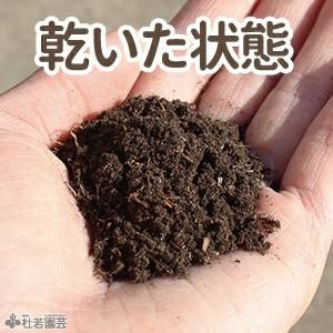テラリウム最適用土 500ml 【苔、コケ、こけ】 | 杜若園芸WEBショップ