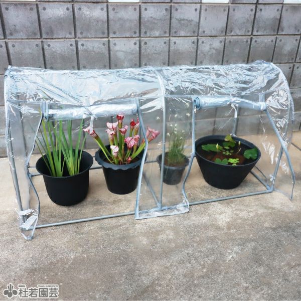 メダカ・植物の簡単ハウス スーパーロング | 杜若園芸WEBショップ