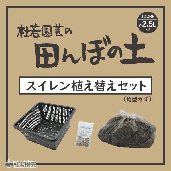 水鉢KAREN ブラック | 杜若園芸WEBショップ｜水草の生産販売【通販