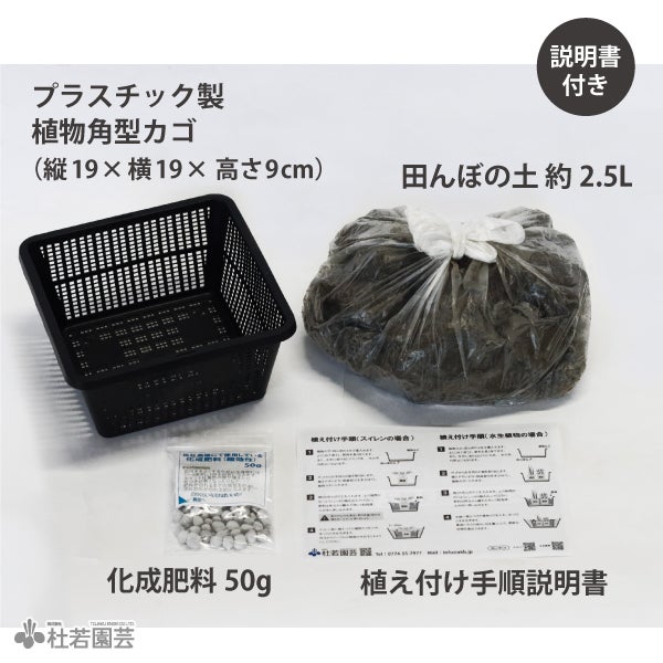 田んぼの土スイレン植え替えセット(角型カゴ) | 杜若園芸WEBショップ