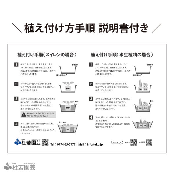 田んぼの土スイレン植え替えセット(角型カゴ) | 杜若園芸WEBショップ