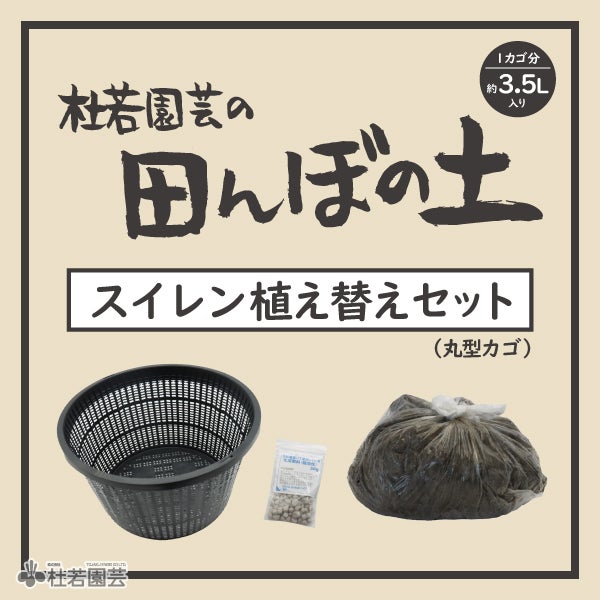 水鉢KAREN ブラック | 杜若園芸WEBショップ｜水草の生産販売【通販