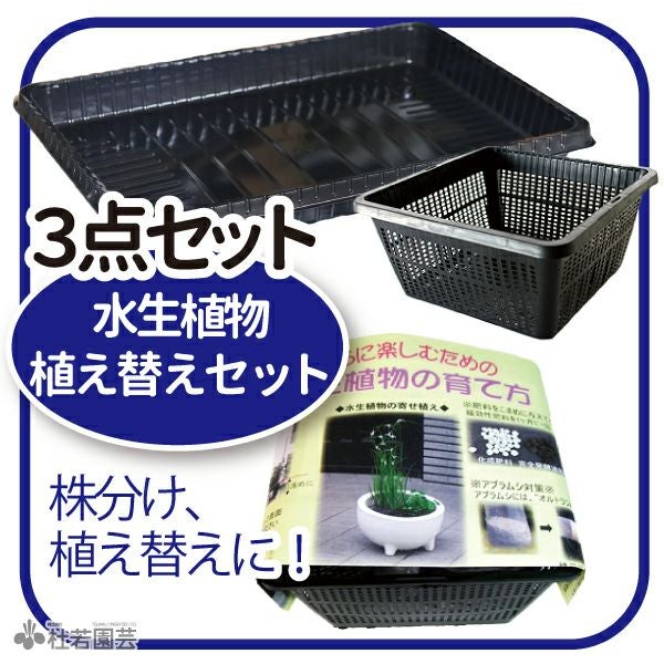 作業トレー＆ 水生植物植え替えセット | 杜若園芸WEBショップ｜水草の