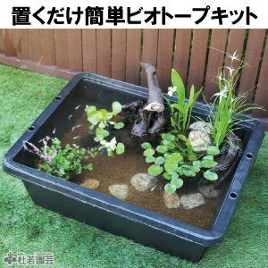 ビオトープのセット | 杜若園芸WEBショップ｜水草の生産販売【通販