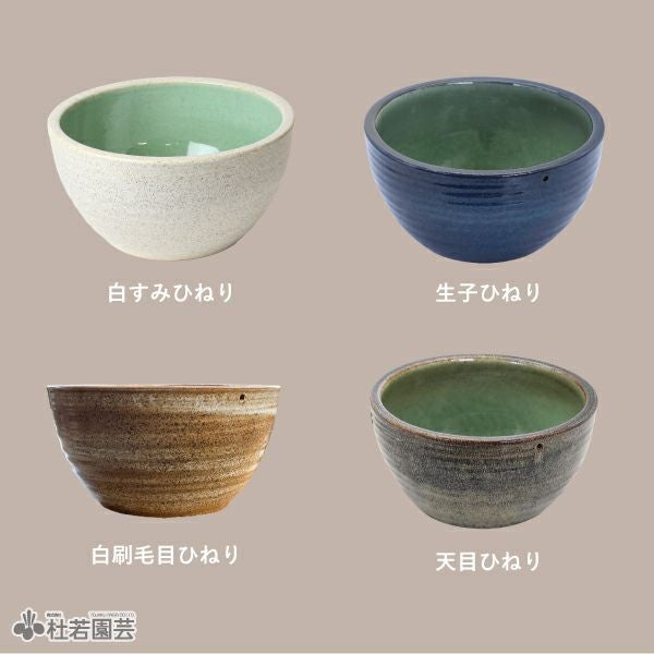 緑のじゅうたんビオトープキット - 信楽焼陶器鉢 | 杜若園芸WEB