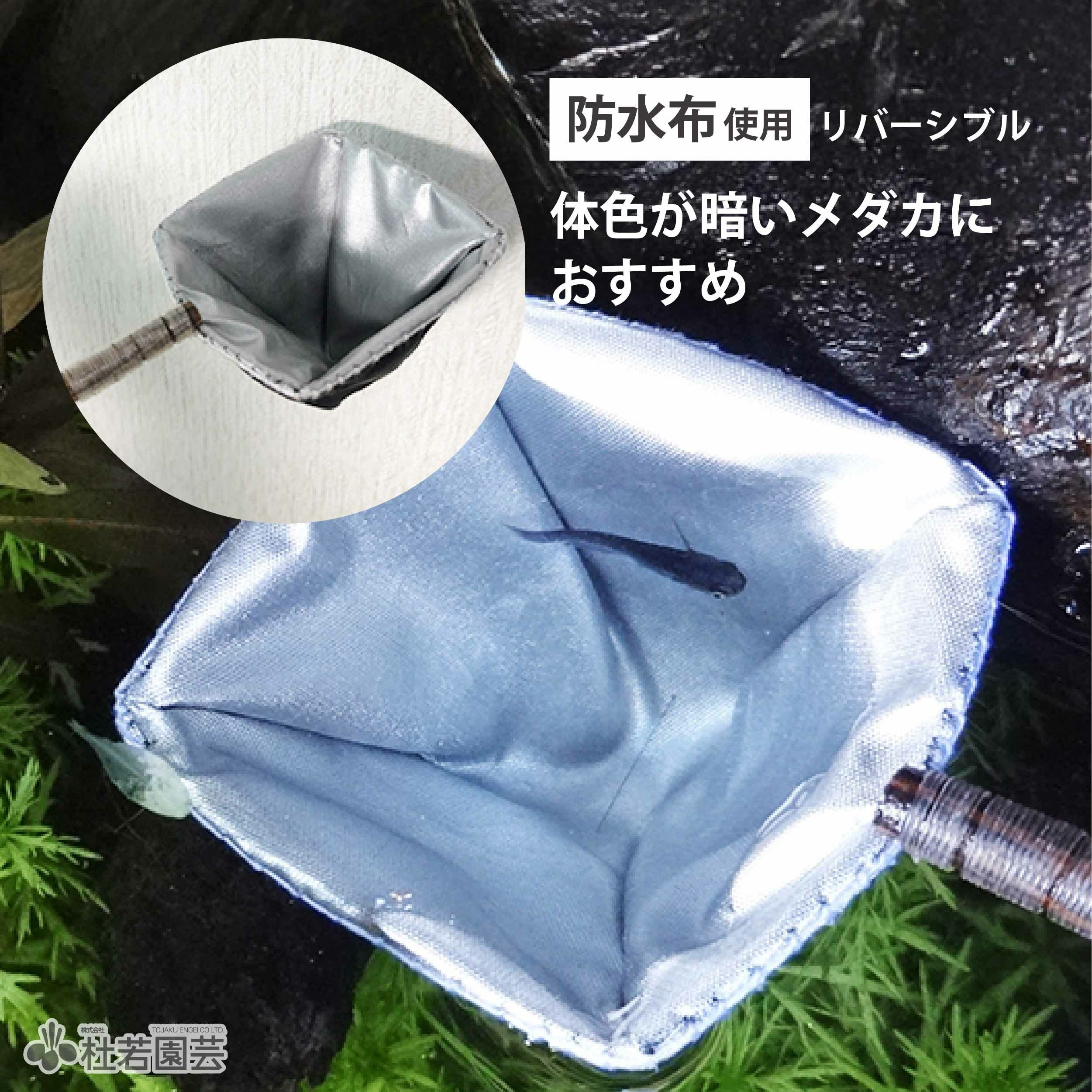 水ごとすくえる！メダカ稚魚網 【メール便対応】 | 杜若園芸WEB
