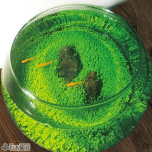 水草のじゅうたんボウルキット | 杜若園芸WEBショップ｜水草の生産販売