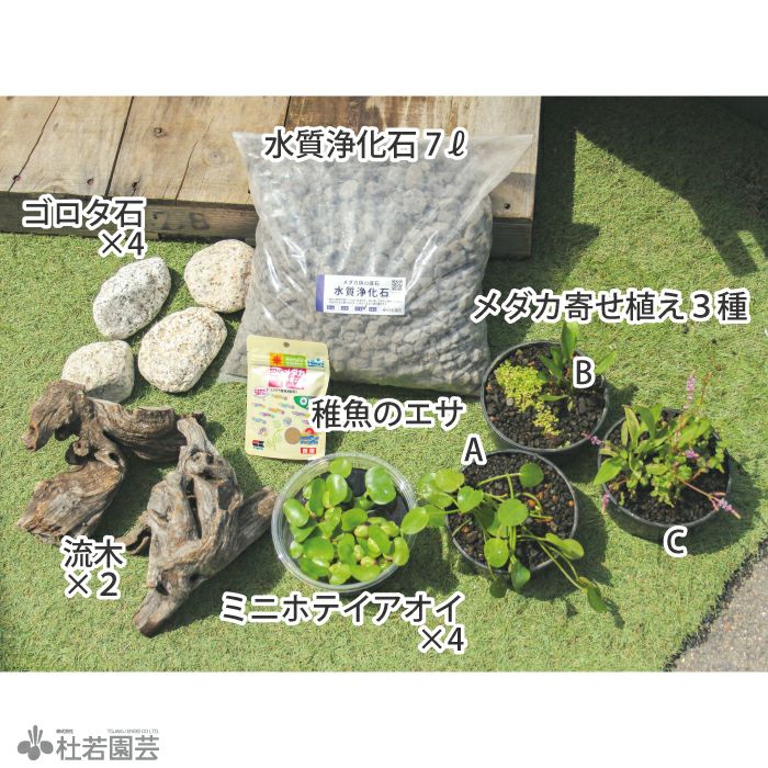 メダカ繁殖ビオトープセット | 杜若園芸WEBショップ｜水草の生産販売