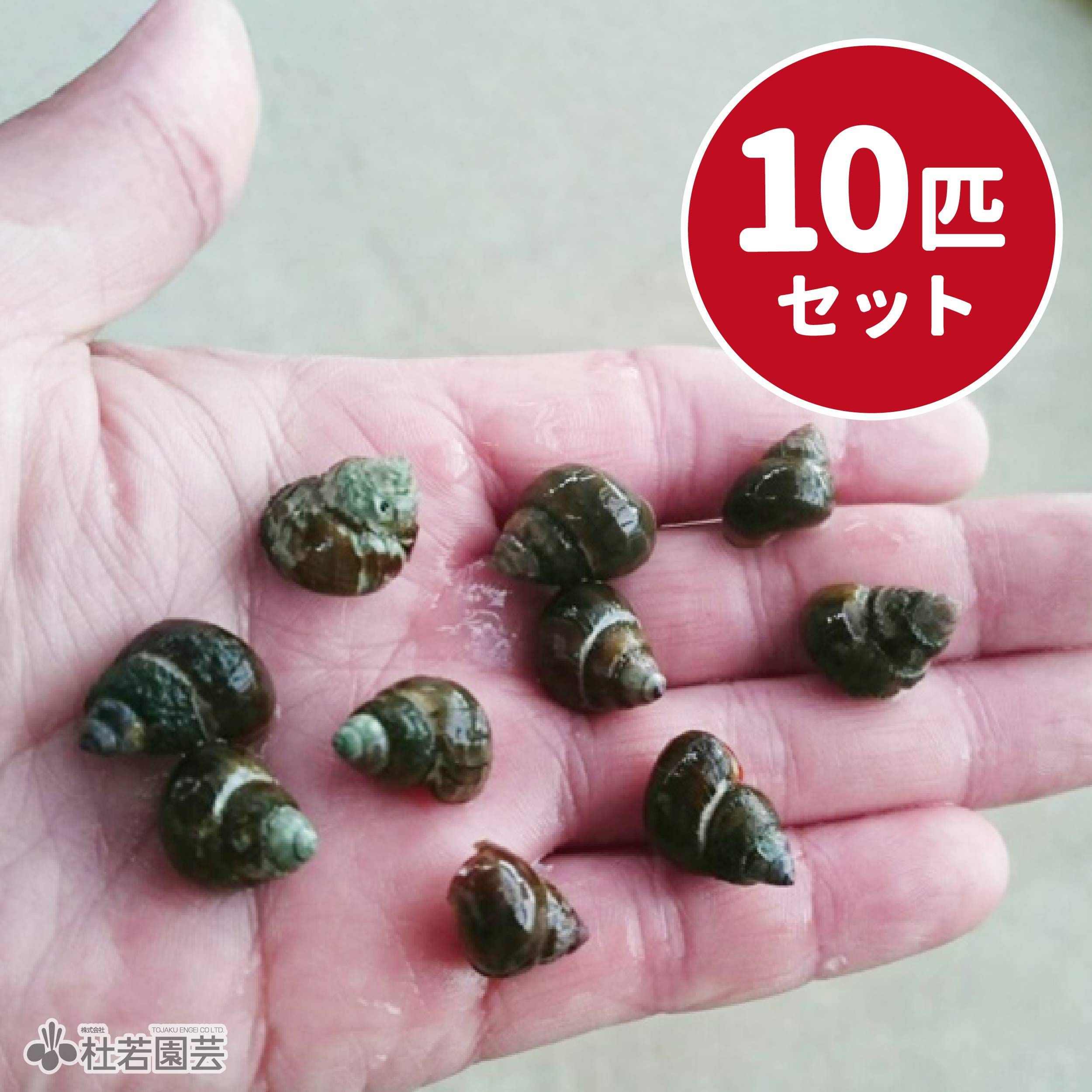 000000003270-01.jpg?size=m&w=