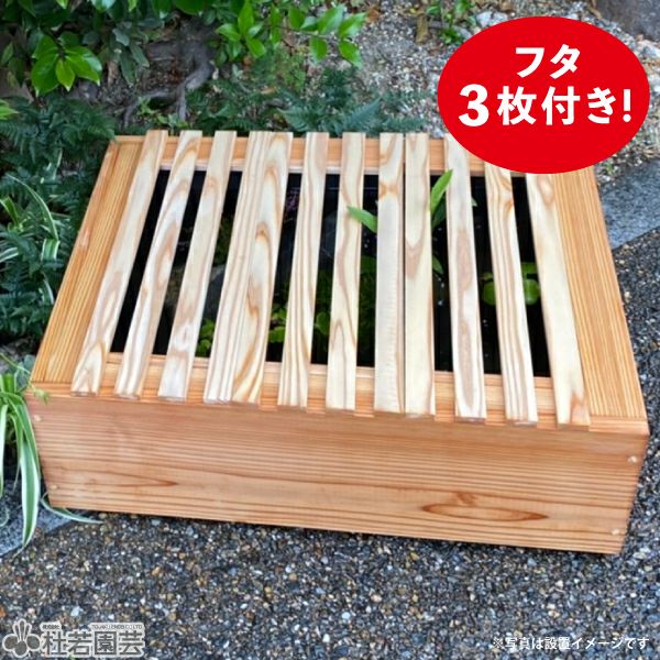 花街のお持ち物 枝木と鳳凰 138.5cmワイド 木枠 唐朝 鳳凰木｜園芸日記