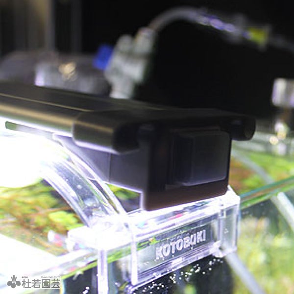 クリアLED POWERⅢ 300 【GEX】 | 杜若園芸WEBショップ｜水草の生産