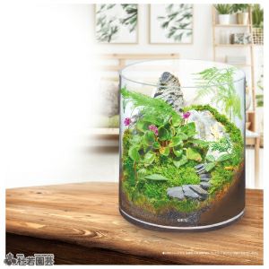 グラスアクアリウム シリンダー 【GEX】 | 杜若園芸WEBショップ｜水草