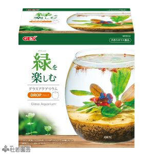 ☆★杜のメダカ☆★メダカ飼育にオススメコケリウム・テラリウム完成品★20センチ 自然の中の飼育箱、苔のアクアリウム、メダカ、ベタ - COKEMOMO-SAR'S
