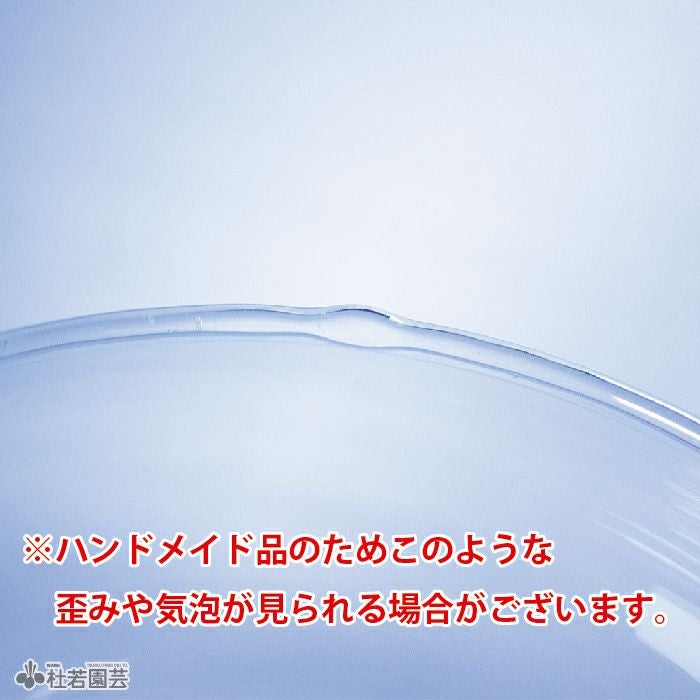 グラス容器 ボール型（特大）Φ24x19cm | 杜若園芸WEBショップ｜水草の