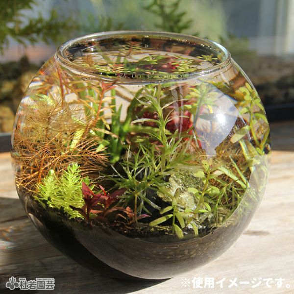000000003375-03.jpg?size=l&w=